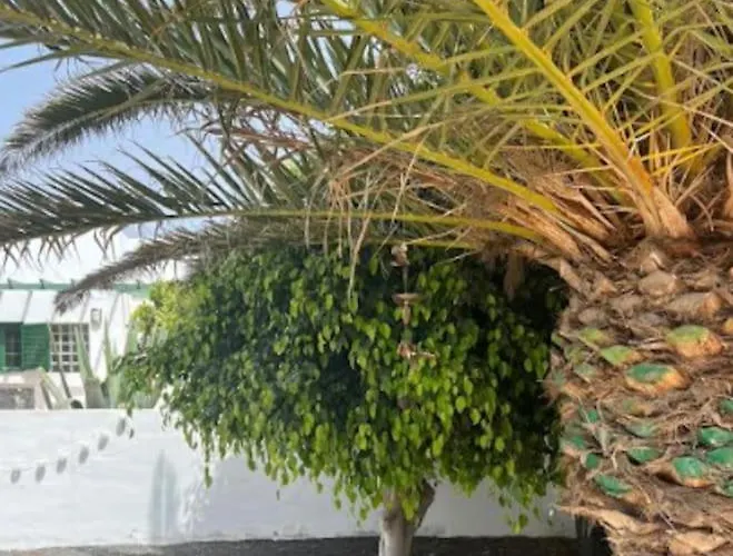 Studio In Πλάγια Μπλάνκα